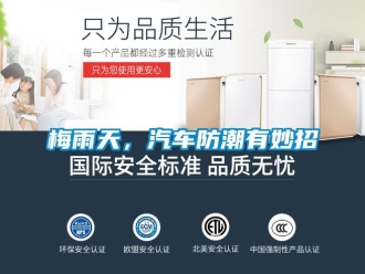 行业新闻梅雨天，汽车防潮有妙招