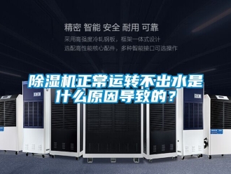 行业新闻除湿机正常运转不出水是什么原因导致的？