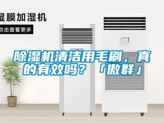 行业新闻除湿机清洁用毛刷，真的有效吗？「傲群」