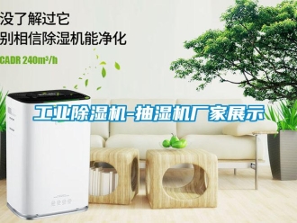 企业新闻工业除湿机-抽湿机厂家展示