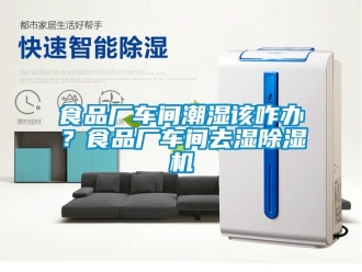 企业新闻食品厂车间潮湿该咋办？食品厂车间去湿除湿机