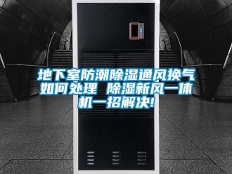 常见问题地下室防潮除湿通风换气如何处理 除湿新风一体机一招解决!