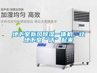 企业新闻地下室新风除湿一体机，让地下室“活”起来
