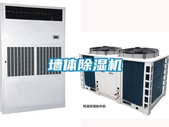 行业新闻墙体除湿机