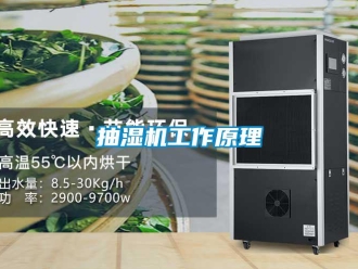 企业新闻抽湿机工作原理
