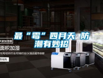 常见问题最“霉”四月天 防潮有妙招