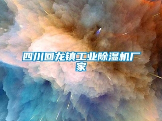 企业新闻四川回龙镇工业除湿机厂家