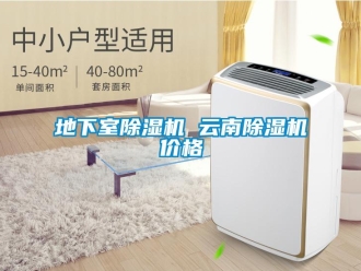 企业新闻地下室除湿机 云南除湿机价格