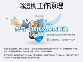 知识百科湿气–现代人得病的根源