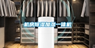 机房除湿加湿一体机