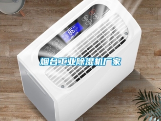 企业新闻烟台工业除湿机厂家