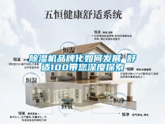 企业新闻除湿机品牌化如何发展　　舒适100带您深度探索