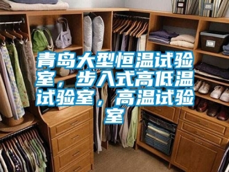 知识百科青岛大型恒温试验室，步入式高低温试验室，高温试验室