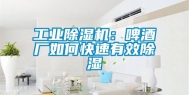 工业除湿机：啤酒厂如何快速有效除湿