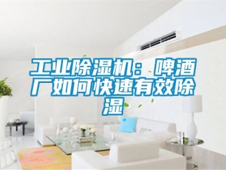 常见问题工业除湿机：啤酒厂如何快速有效除湿