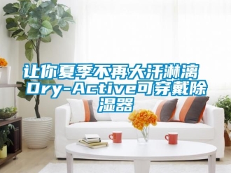 行业新闻让你夏季不再大汗淋漓 Dry-Active可穿戴除湿器