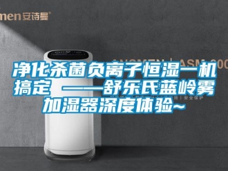 知识百科净化杀菌负离子恒湿一机搞定 ——舒乐氏蓝岭雾加湿器深度体验~