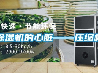 常见问题除湿机的心脏——压缩机