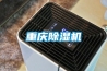 重庆除湿机