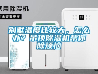 常见问题别墅湿度比较大，怎么办？吊顶除湿机帮你除烦恼