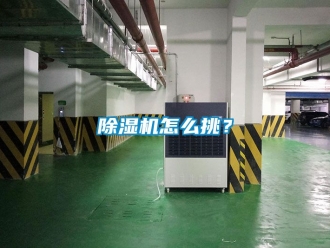行业新闻除湿机怎么挑？
