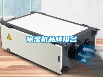 企业新闻除湿机品牌排名
