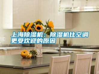 知识百科上海除湿机：除湿机比空调更受欢迎的原因