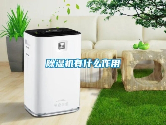 企业新闻除湿机有什么作用
