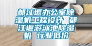 都江堰办公室除湿机工程设计 都江堰游泳池除湿机 行业低价