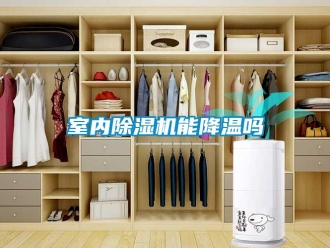 行业新闻室内除湿机能降温吗