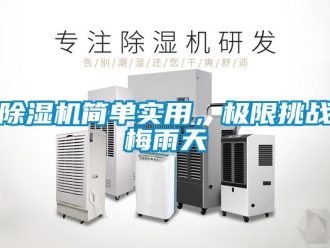 常见问题除湿机简单实用，极限挑战梅雨天