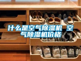 企业新闻什么是空气除湿机 空气除湿机价格