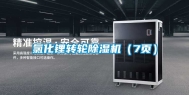 氯化锂转轮除湿机（7页）