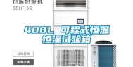 408L 可程式恒温恒湿试验箱