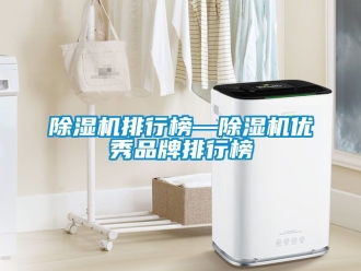 企业新闻除湿机排行榜—除湿机优秀品牌排行榜