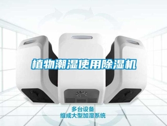 知识百科植物潮湿使用除湿机