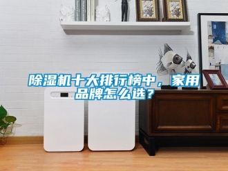 企业新闻除湿机十大排行榜中，家用品牌怎么选？