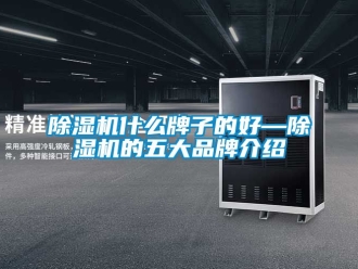 企业新闻除湿机什么牌子的好—除湿机的五大品牌介绍