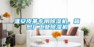 淮安皮革专用除湿机，箱包厂工业除湿机