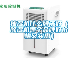 企业新闻抽湿机什么牌子好（除湿机哪个品牌好价格又实惠）