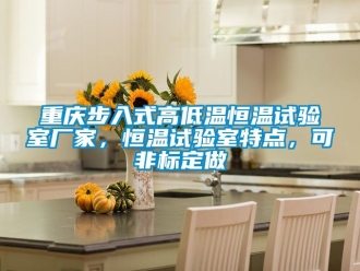 知识百科重庆步入式高低温恒温试验室厂家，恒温试验室特点，可非标定做