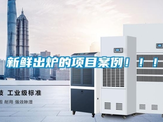 知识百科新鲜出炉的项目案例！！！