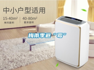 行业新闻梅雨季避“霉”