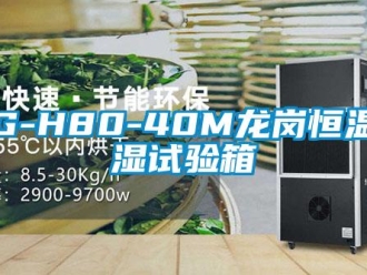 常见问题MG-H80-40M龙岗恒温恒湿试验箱