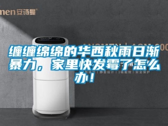 常见问题缠缠绵绵的华西秋雨日渐暴力，家里快发霉了怎么办！