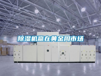 企业新闻除湿机赢在黄金周市场