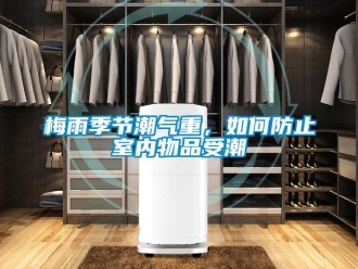 常见问题梅雨季节潮气重，如何防止室内物品受潮