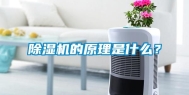 除湿机的原理是什么？