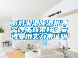 行业新闻面对潮湿除湿机哪个牌子效果好？安诗曼用实力来证明