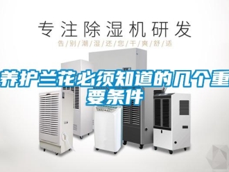 知识百科养护兰花必须知道的几个重要条件